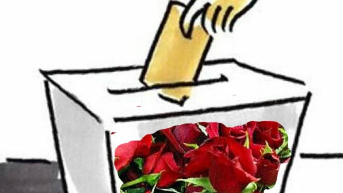 Joven socialista de Pontevedra inicia la “revolución de las Rosas”