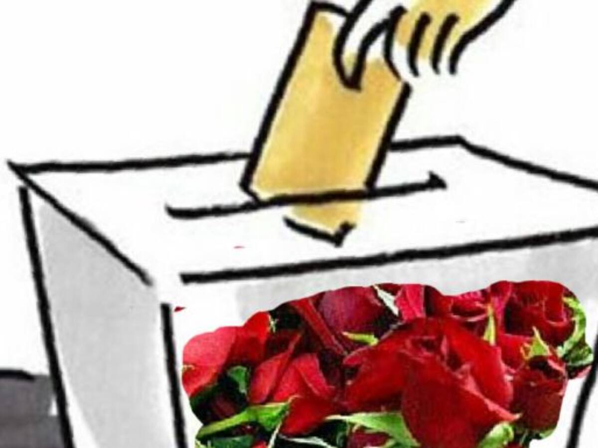 Joven socialista de Pontevedra inicia la “revolución de las Rosas”