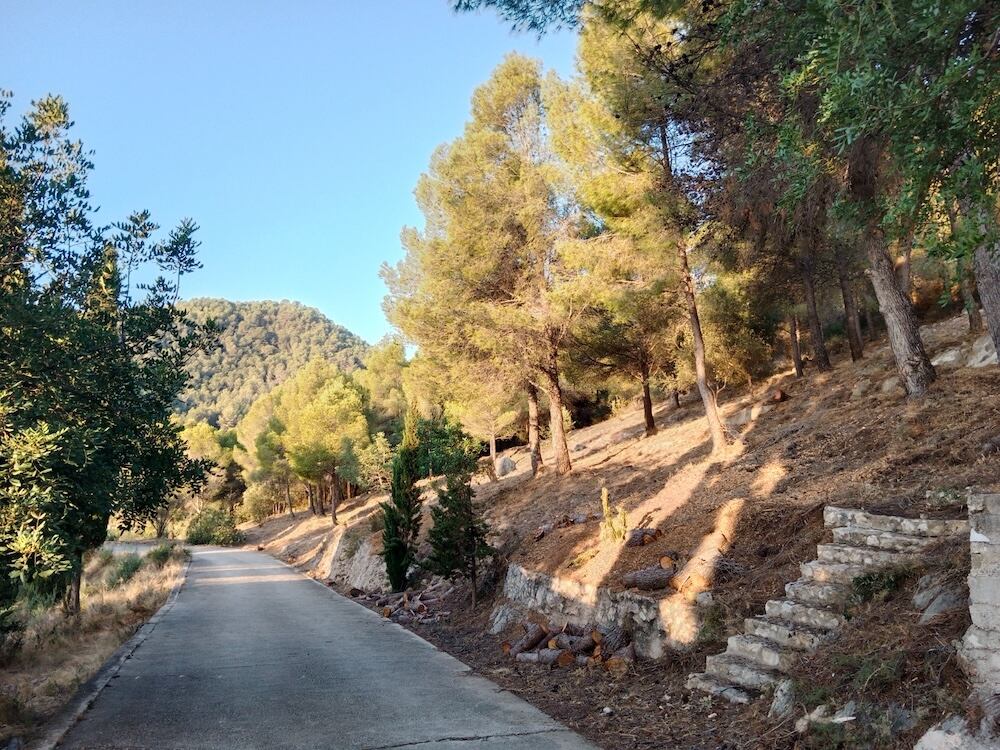 Trabajos de prevención de incendios forestales en el CEIP CAES Nostra Senyora de l’Amparo