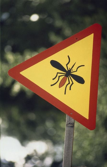 Una señal alerta de mosquitos en Finlandia.