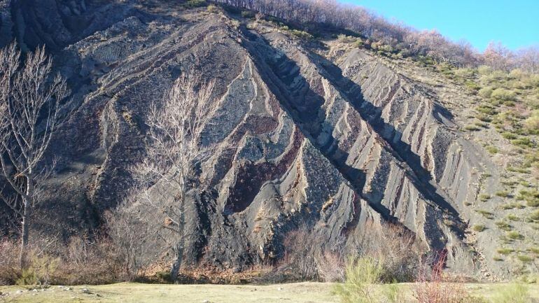 Imagen del Ribero Pintado en la Montaña Palentina