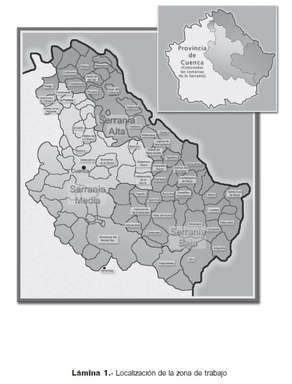El trabajo de Fajardo, Verde, Rivera y Obón se desarrolló en 41 pueblos de la Serranía Alta y Baja de Cuenca.