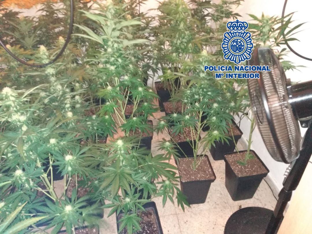 Parte del material incautado por la Policía Nacional en Málaga