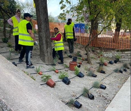 Varios operarios durante unas labores de mejora de zonas verdes.