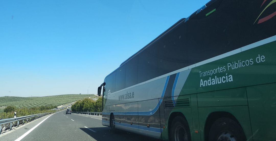 Servicio de Transporte de Viajeros por Carretera