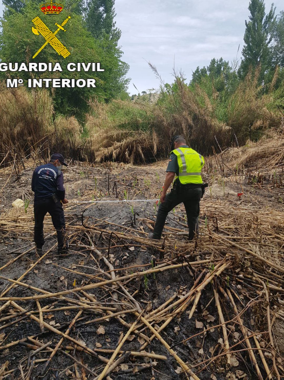 Una quema de cañas originó uno de los incendios