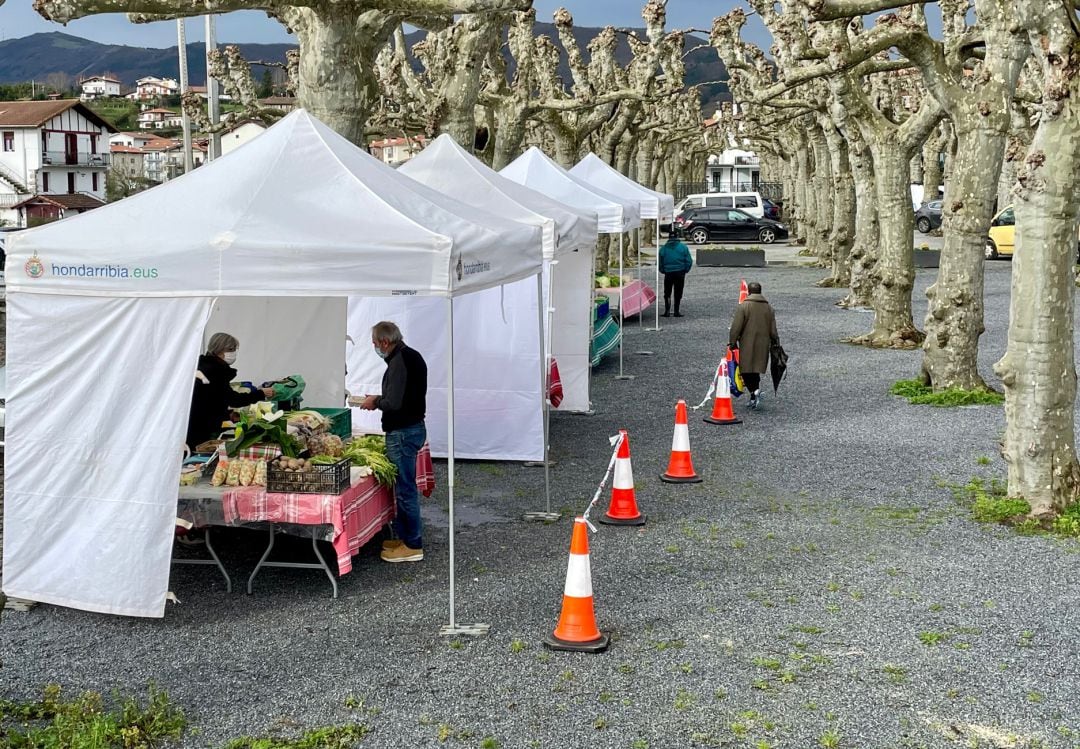 Puestos de venta de los baserritarras en la Azoka de los miércoles situada en la Alameda. 