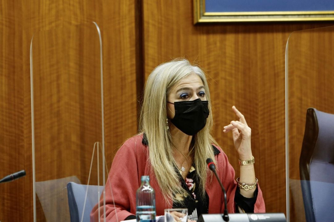 Patricia del Pozo en la Comisión de Cultura de Parlamento de Andalucía 
 