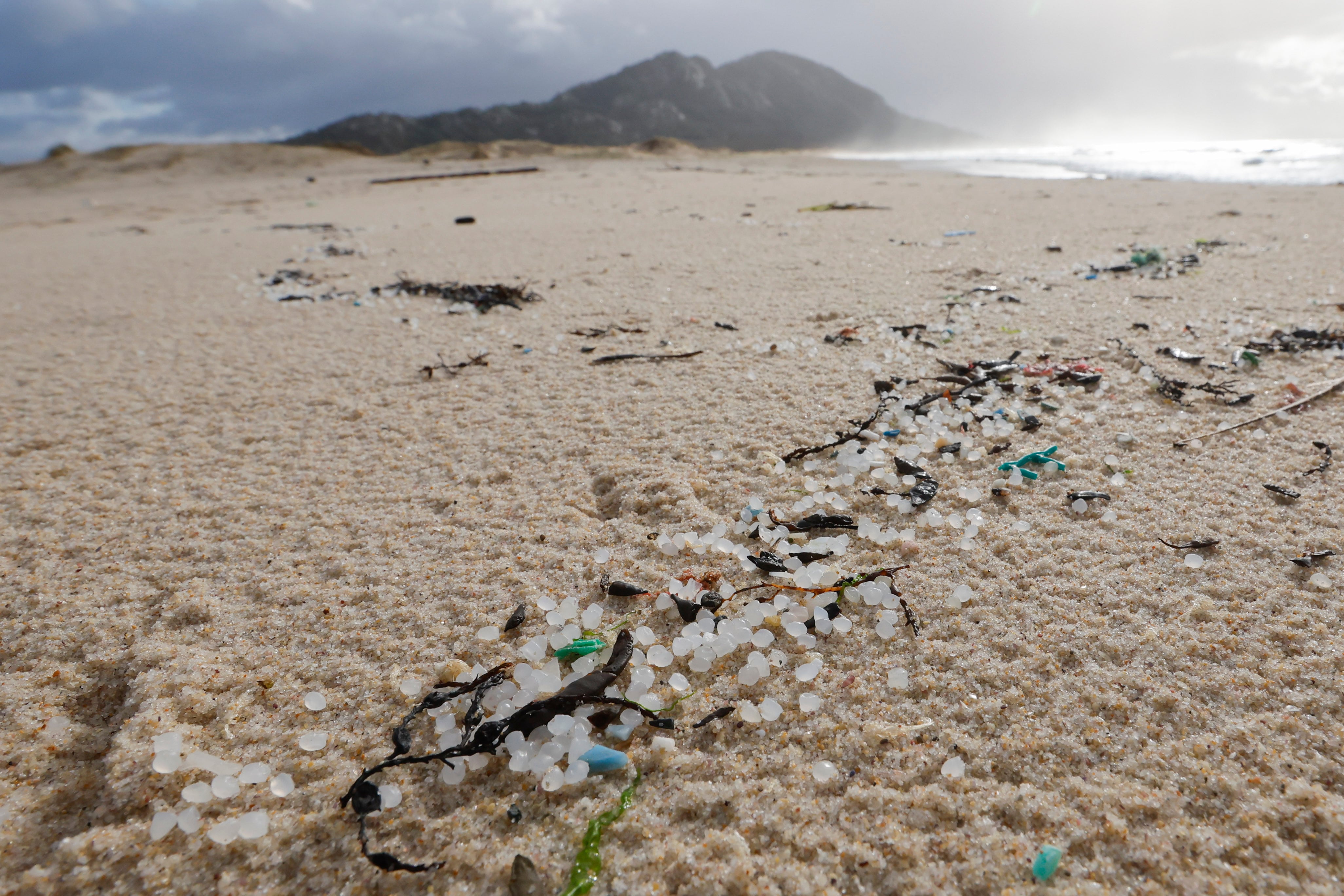 Miles de bolitas de pellets para la fabricación de plásticos, procedentes de un contenedor que cayó al mar desde un barco, esta mañana en la playa de Area Maior de Muros