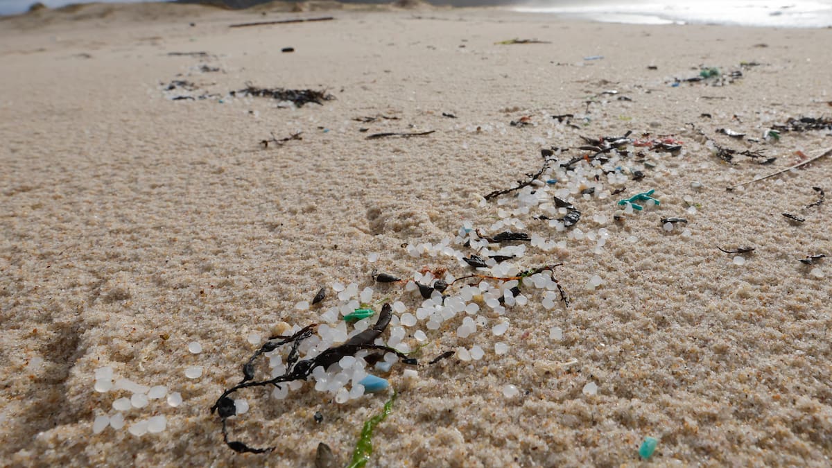 Entrevista al Proyect Manager de Pelltinel para conocer el proyecto para monitorizar microplásticos