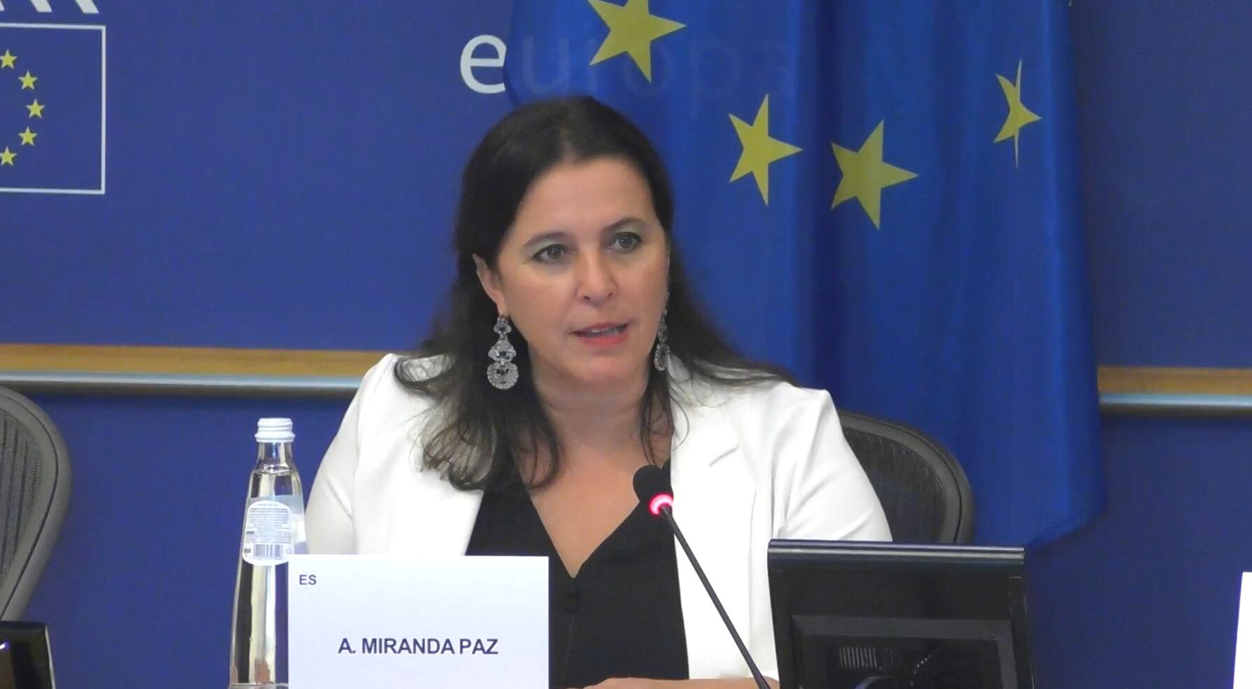 Ana Miranda, eurodiputada del BNG