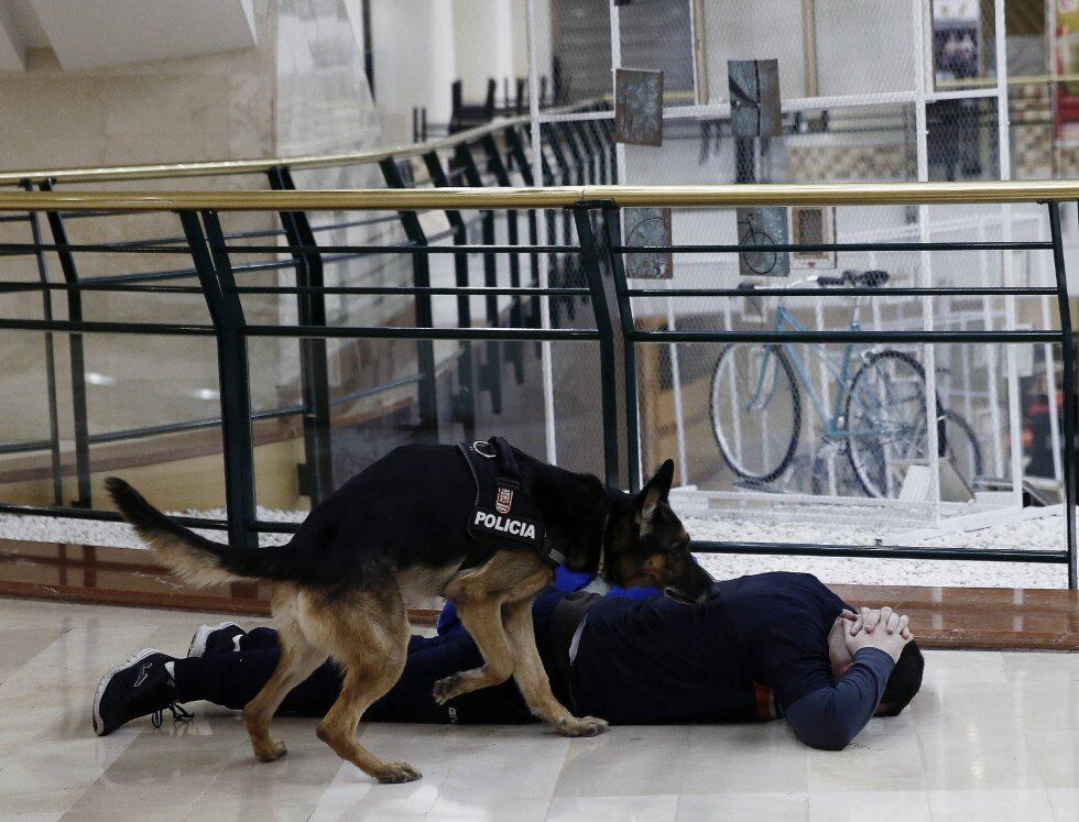 Un perro de la Policía Foral verifica que un terrorista no lleve explosivos en su cuerpo durante un simulacro