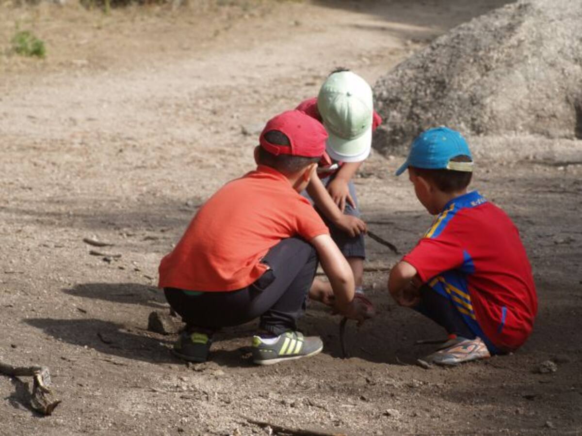 Cuando el bosque se convierte en el colegio