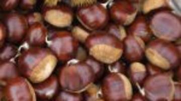 El sector de la castaña vivió una campaña histórica