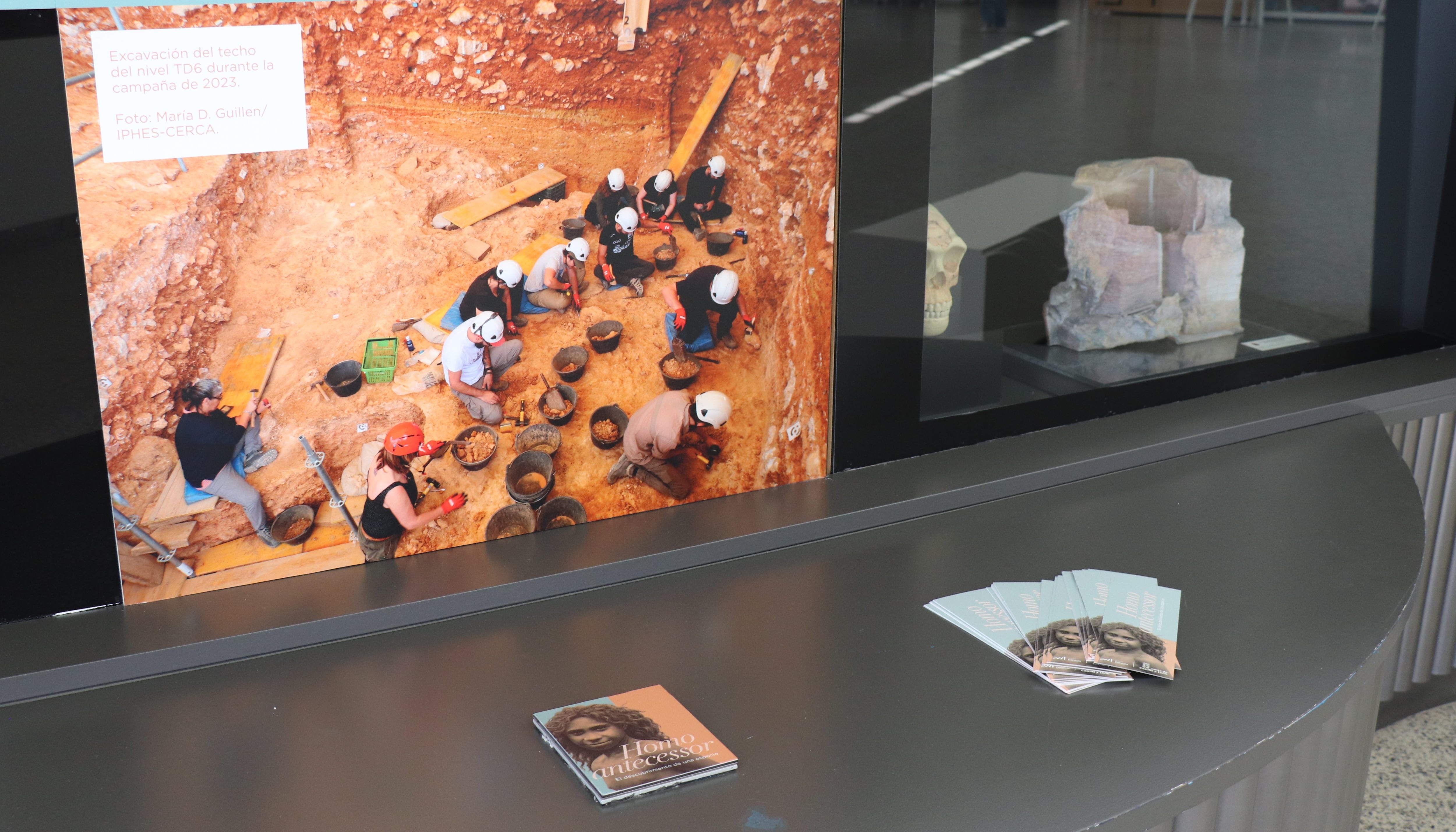 Exposición Museo de la Evolución Humana en Burgos