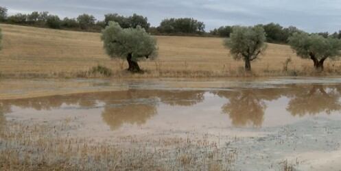 En Peralta de la Sal se registraron más de 80 litros por metro cuadrado