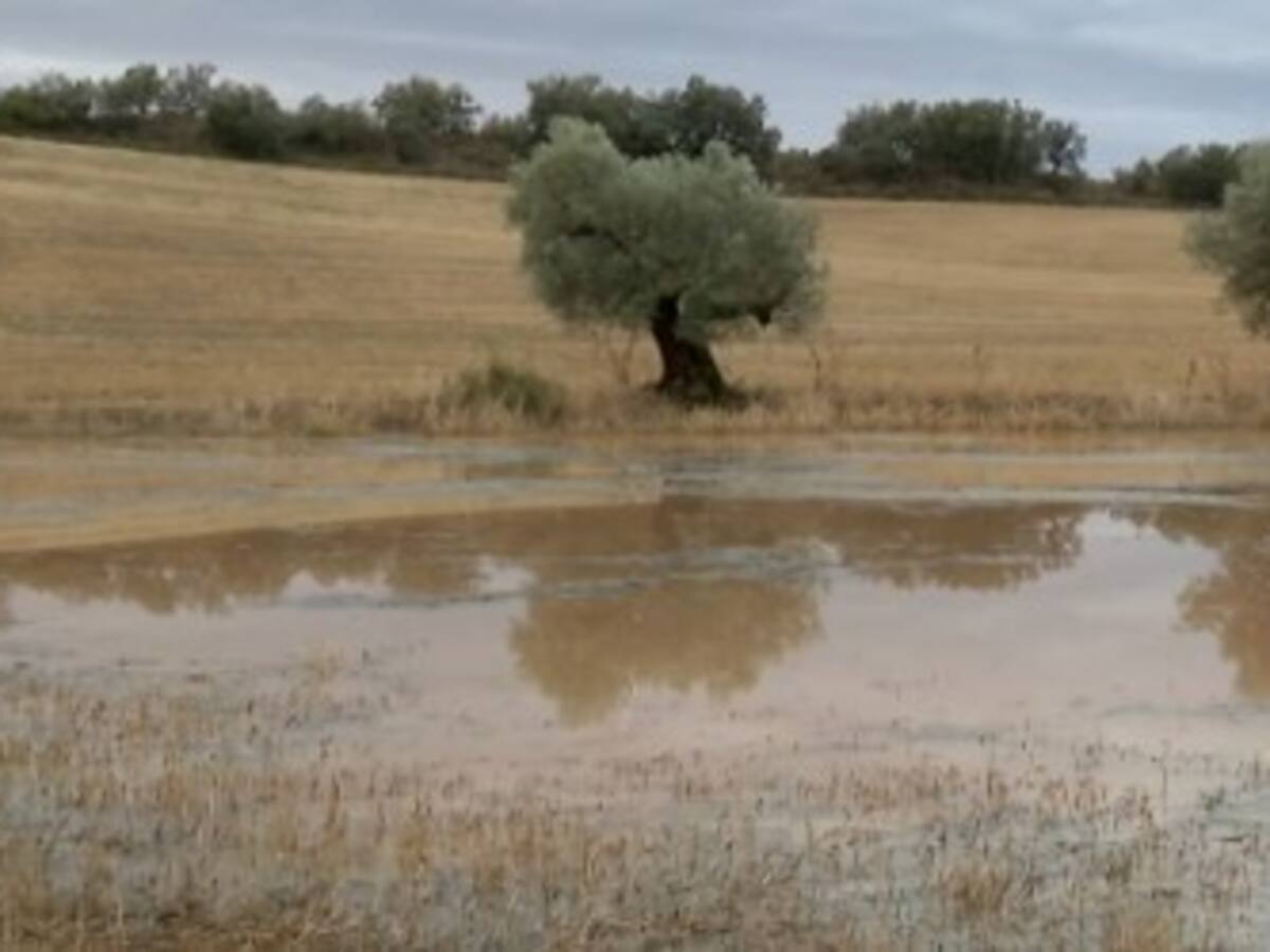 Incidencias importantes en Peralta de la Sal, Aínsa y Barbastro tras las lluvias registradas el domingo