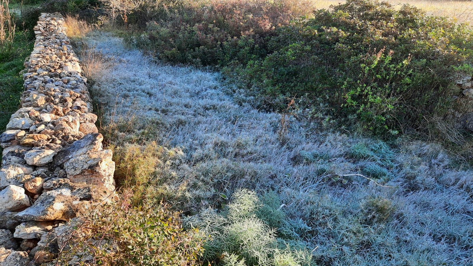 Imagen de archivo de heladas en la zona norte de Ibiza