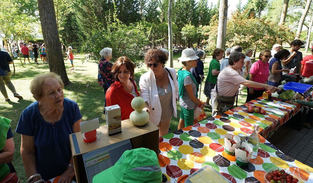 La convocatoria de los huertos ecológicos ya está abierta