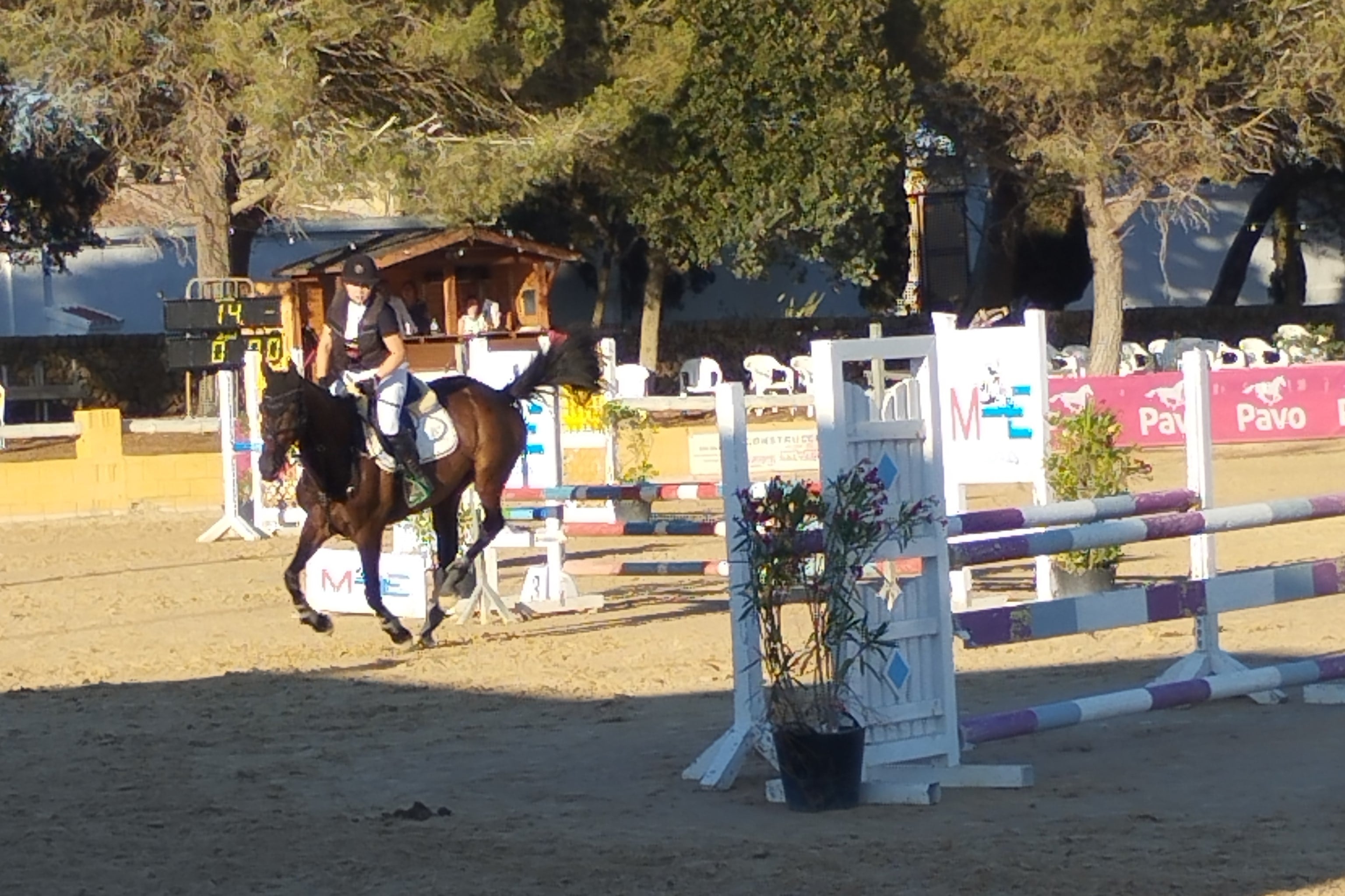 L'elegància de l'hípica va brillar a Alaior aquest cap de setmana.