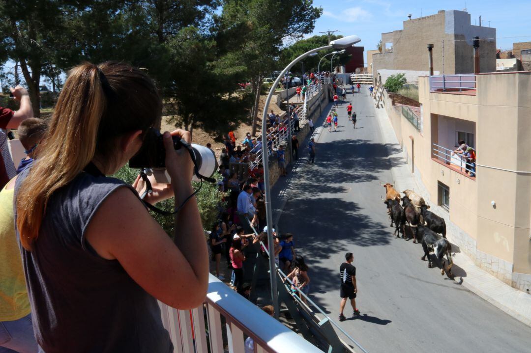 Activista d&#039;Anima Naturalis fa fotos en un acte taurí al Montsià.