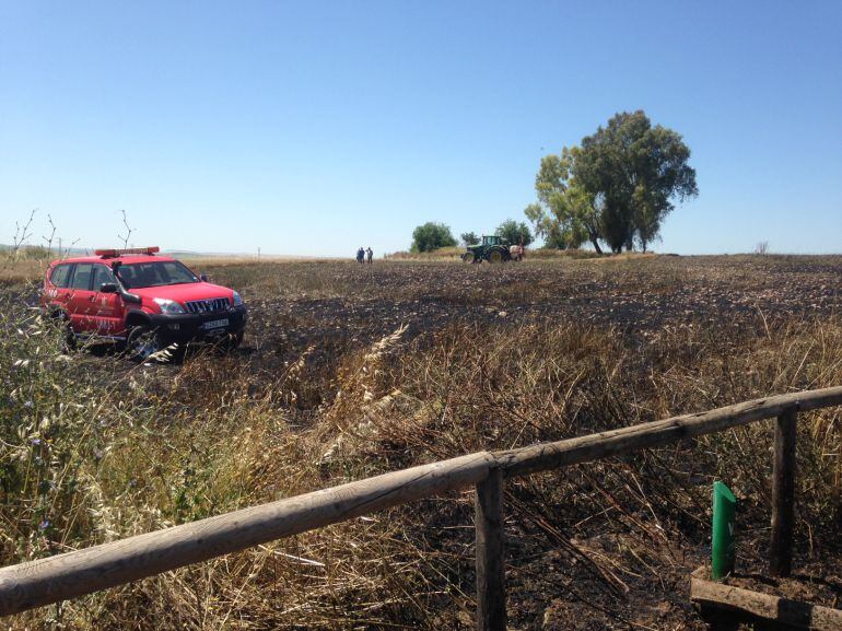 Imagen de la finca calcinada por las llamas