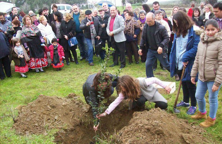 Plantación de árboles durante la Fiesta del Árbol de 2016 en Villanueva de la Sierra