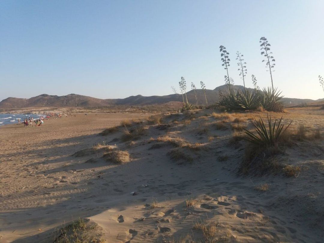 Zona de Los Genoveses en el Parque Natural de Cabo de Gata-Níjar.