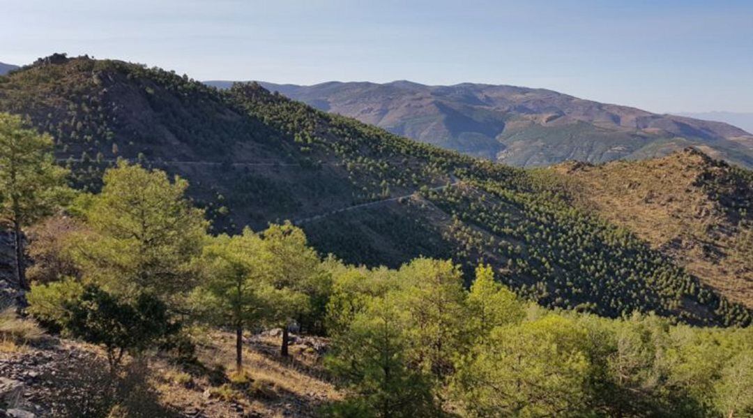 Sierra de Baza