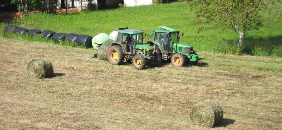 Trabajos en el campo