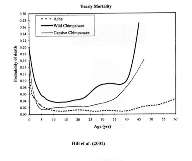 &#039;Mortality rates among wild chimpanzees&#039;, Kim Hill et al.,