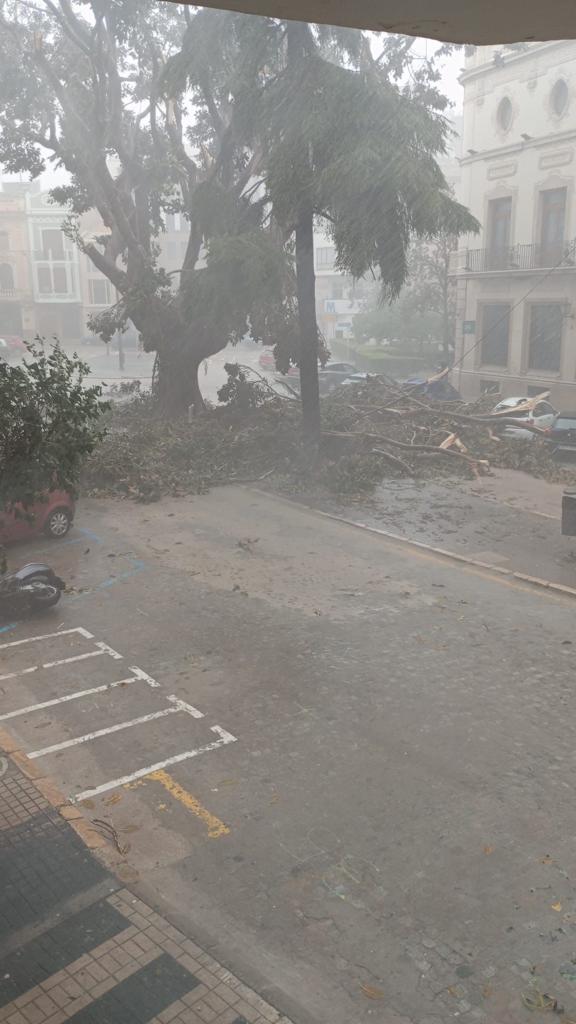 Destrozos ocasionados por la lluvia en Borriana.