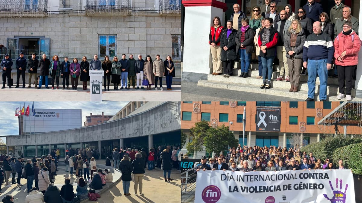 María José Ortiz, concejala de Cultura de Alcobendas, durante la lectura del manifiesto del 25 N en el Ayuntamiento de Alcobendas