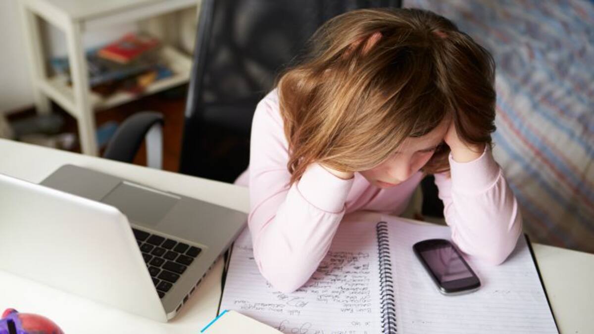 Ciberacoso y el inicio de curso: ¿Cuáles son las plataformas digitales más utilizadas?