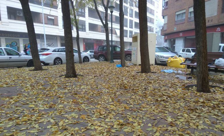 Hojas caídas de los árboles sin recoger