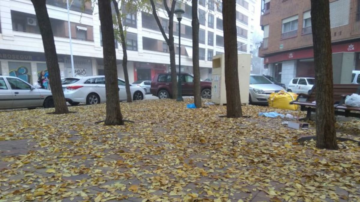 Albacete desestima dos reclamaciones por daños en coches tras la caída de árboles en la vía pública