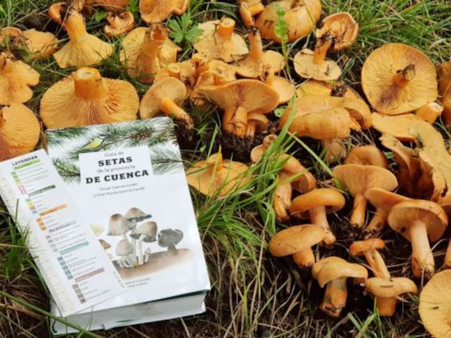 La guía está ya a la venta.