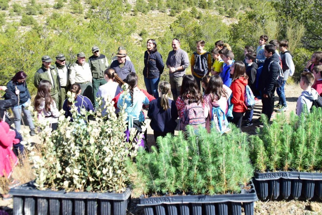 Actividad de reforestación participativa en la Sierra de Baza