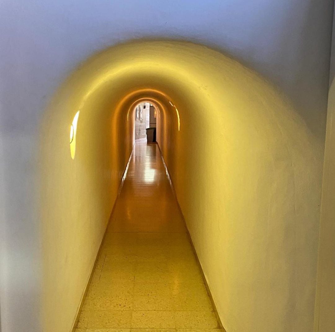 Este pasillo de más de treinta metros conecta el espacio del personal de los Centros con la cafetería, en el corazón del Jardín de Cactus