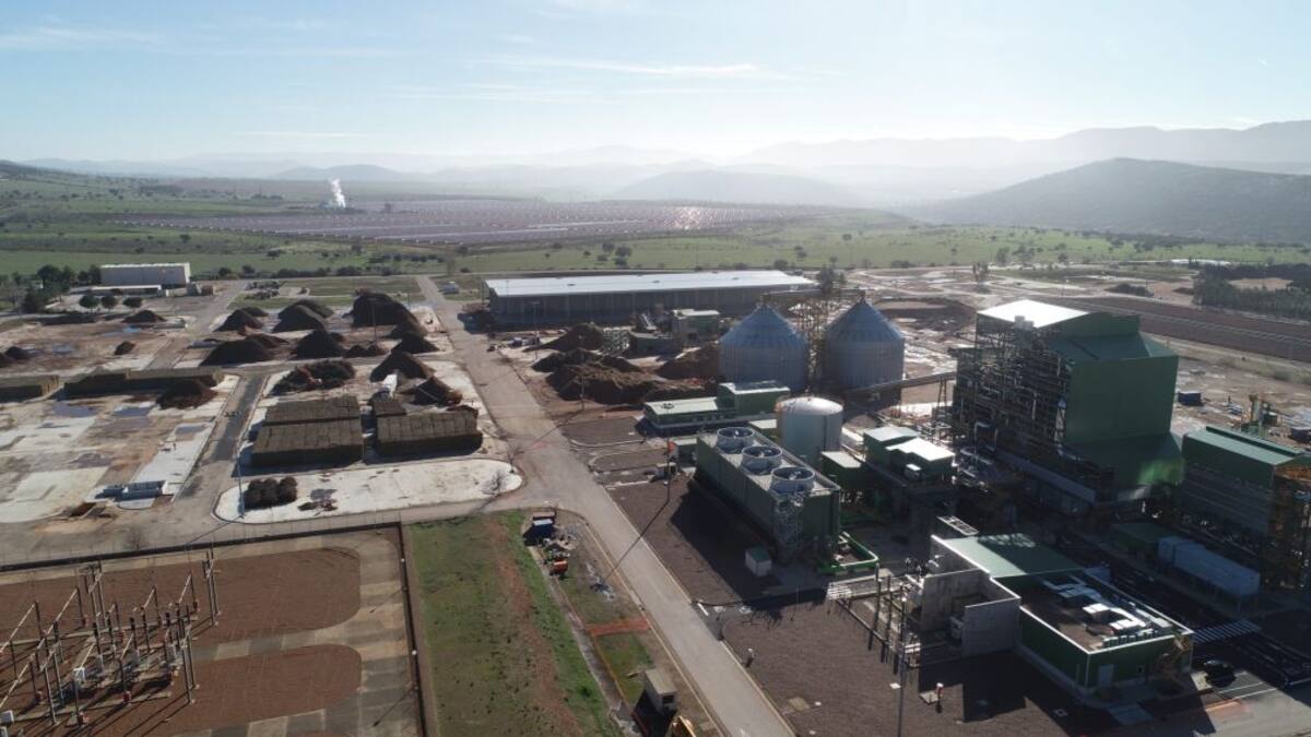 La planta de biomasa de ENCE Puertollano obtiene la certificación de gestión ambiental AENOR en tiempo récord