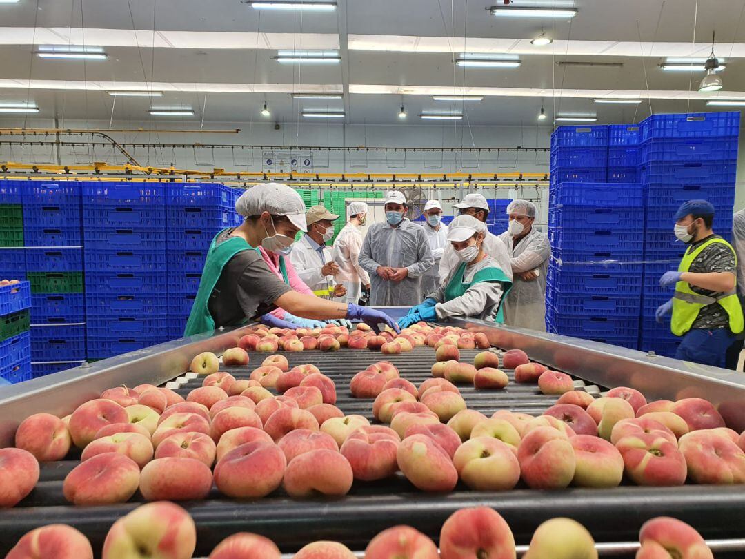 El consejero de Agua, Agricultura, Ganadería, Pesca y Medio Ambiente, Antonio Luengo, y el alcalde de Lorca, Diego José Mateos, han visitado las instalaciones de la cooperativa Alimer