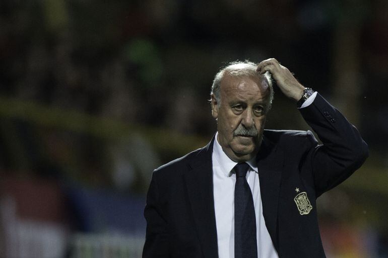 Del Bosque, pensativo durante el partido ante Bielorrusia