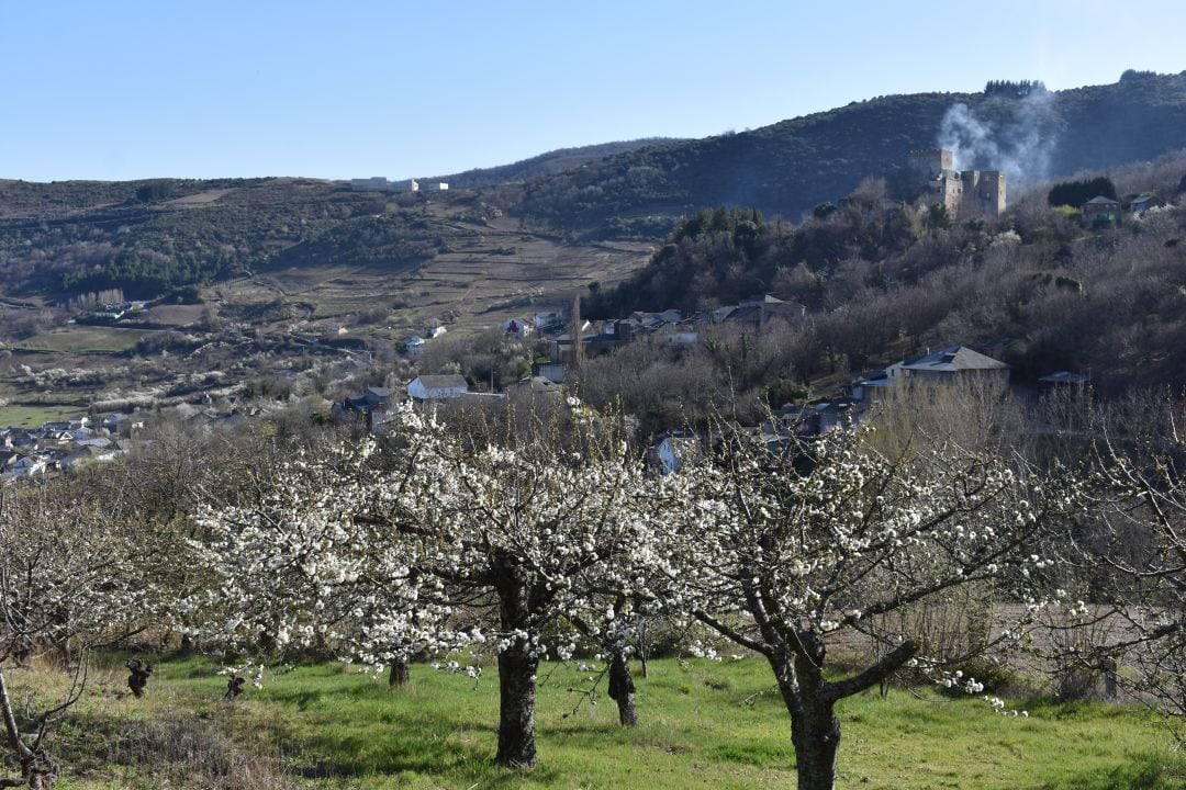 Los cerezos en flor y al fondo, el castillo