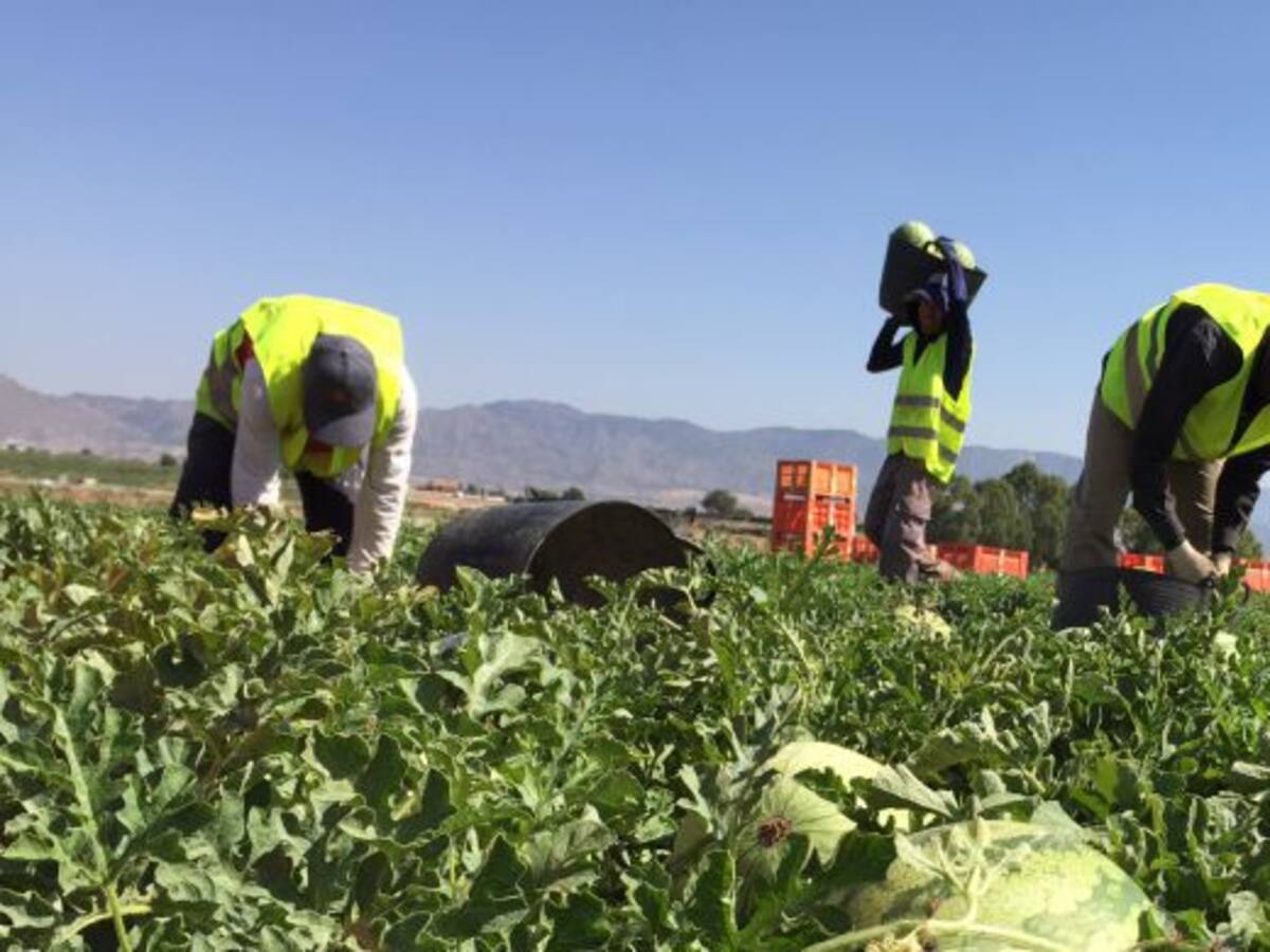 Aprobadas las enmiendas más restrictivas para la agricultura en la ley de medidas urgentes del Mar Menor