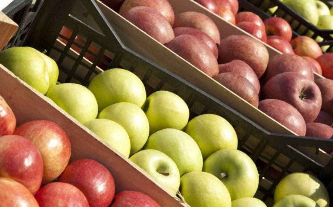 UEP Mallorca ofrece publicidad gratis a los comercios que continúan trabajando durante la crisis.