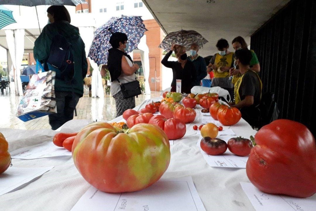 Feria Nacional del Tomate Antiguo.