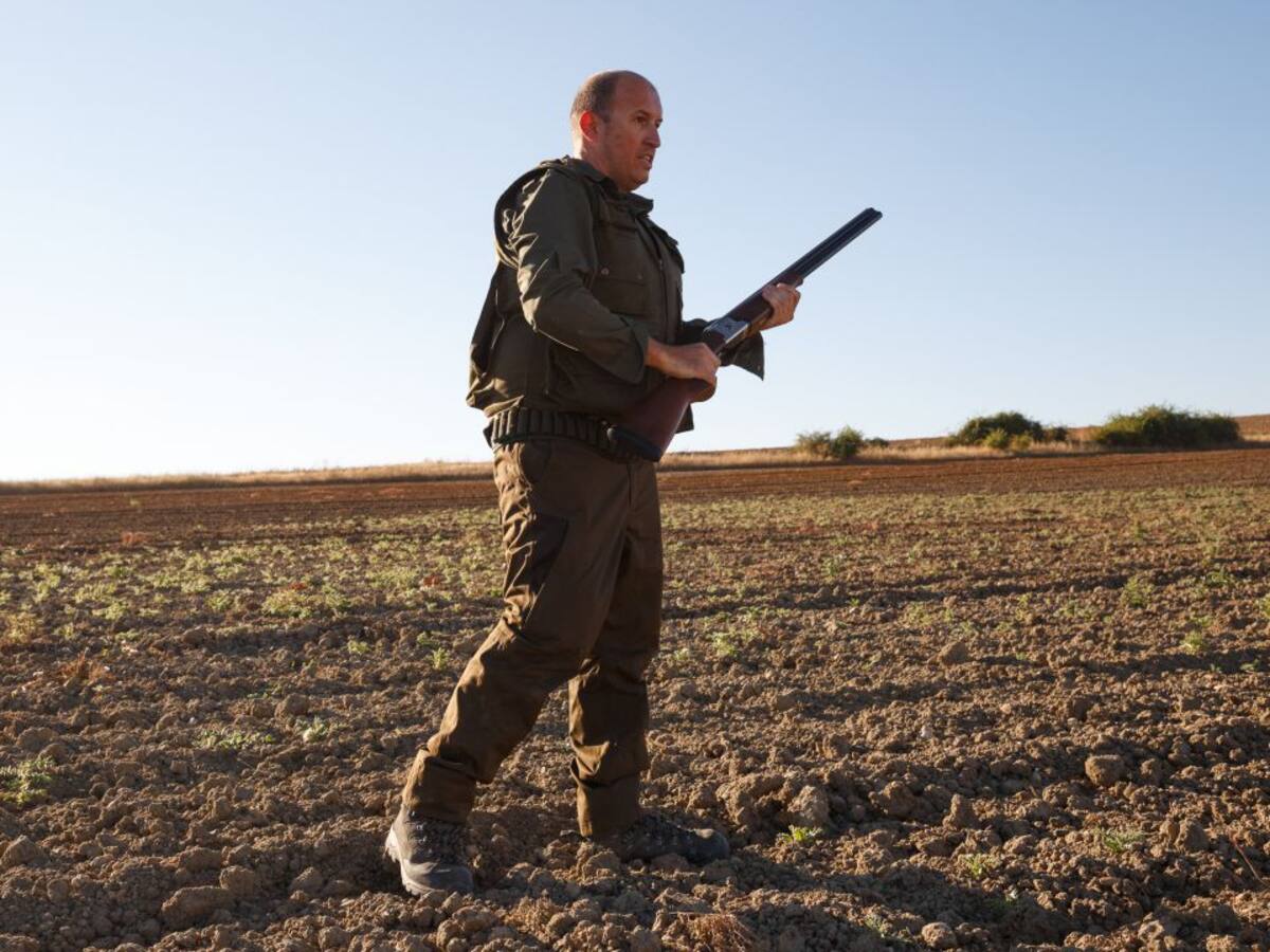 Las Cortes aprueban una nueva ley de caza