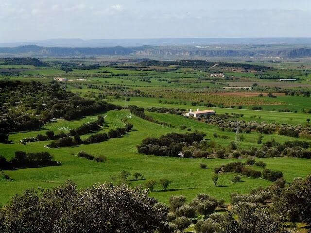 Campos de Estadilla desde la Sierra de la Carrodilla