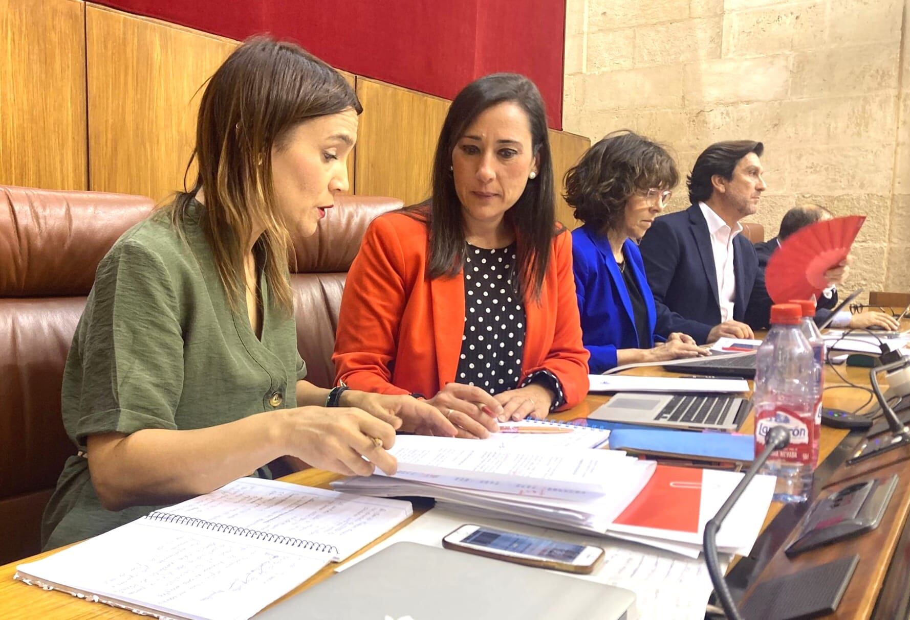 Rocío Arrabal en el parlamento.