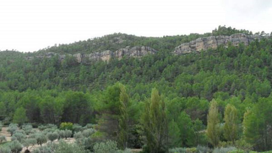 Parque Natural de las Hoces del Cabriel. 